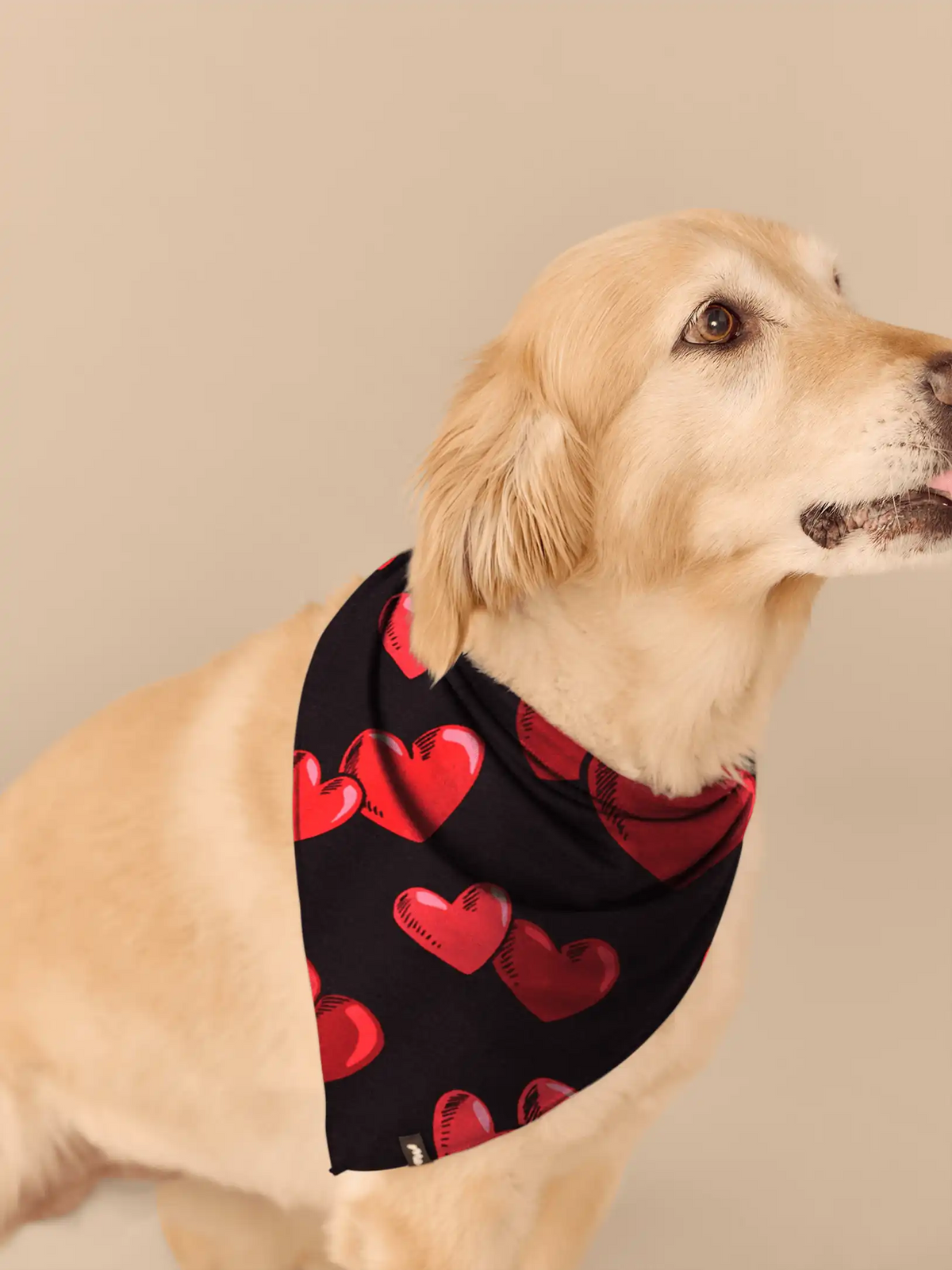 UltraModal™ BuddyBands™ | Floating Hearts