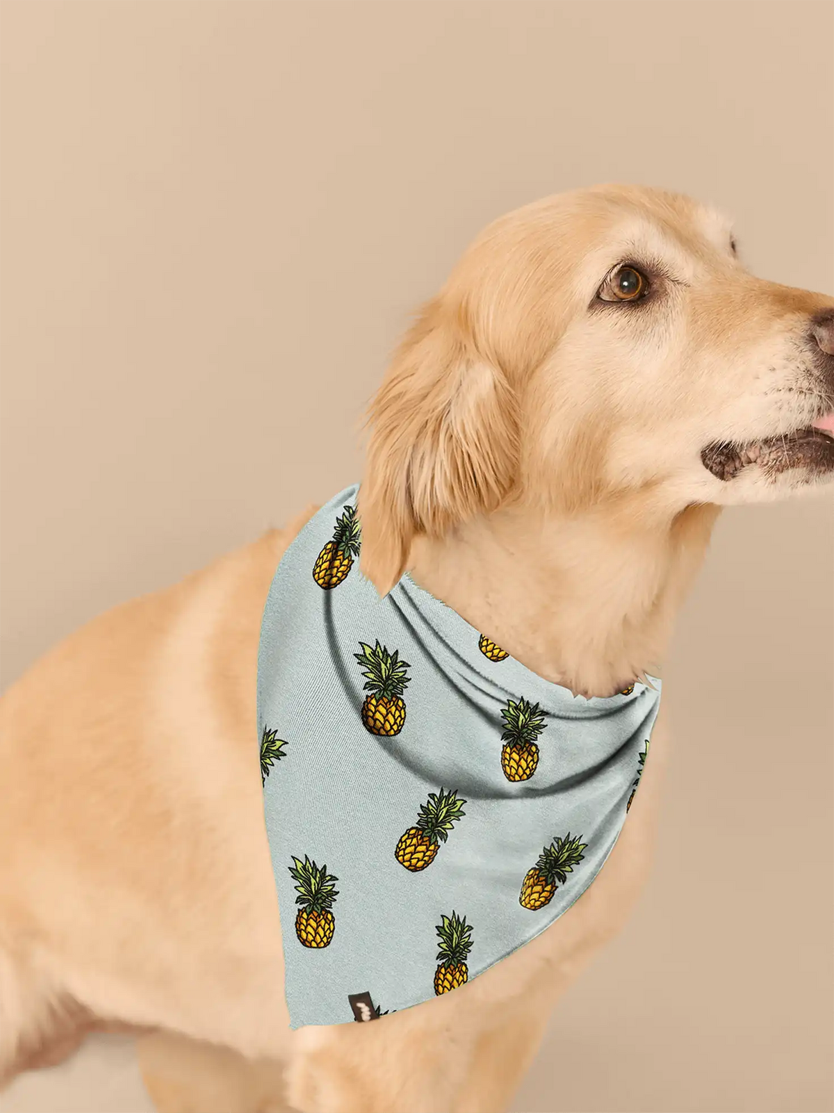 UltraModal™ BuddyBands™ | Pineapples