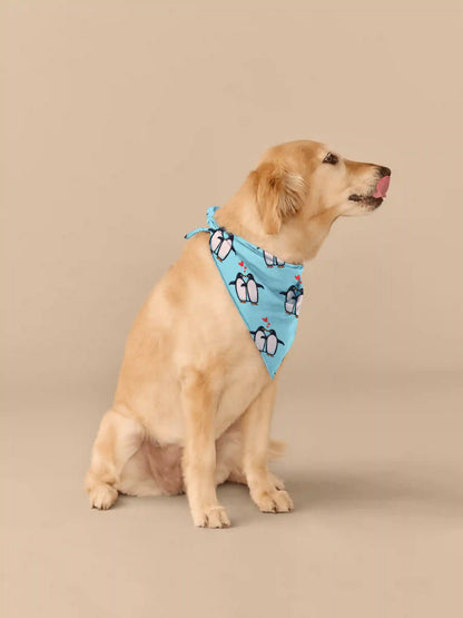 UltraModal™ BuddyBands™  | You're My Penguin
