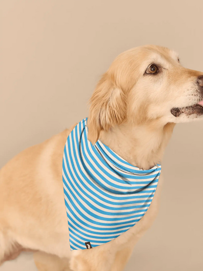 UltraModal™ BuddyBands™  | Amalfi Stripes