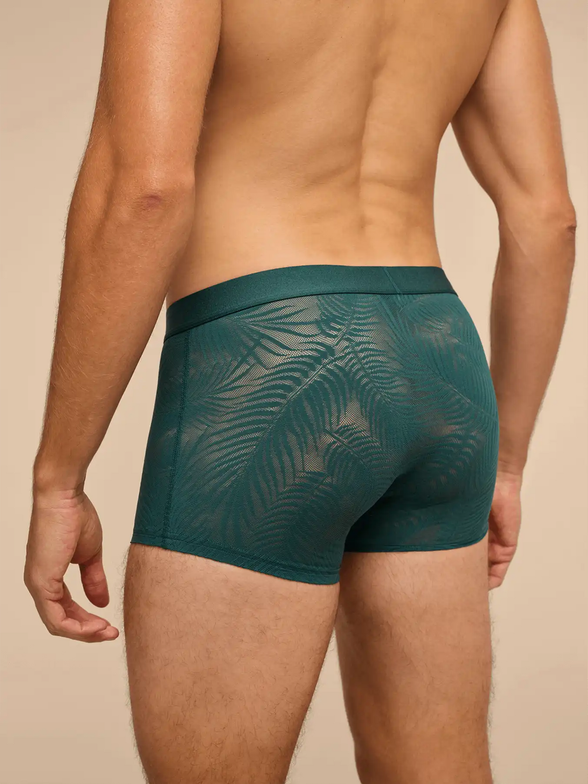 All Over Lace Trunk | Sea Moss Feather