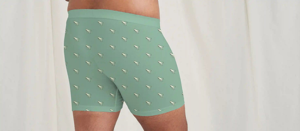 Stretch Cotton Boxer Brief w/ Fly | T-Rex